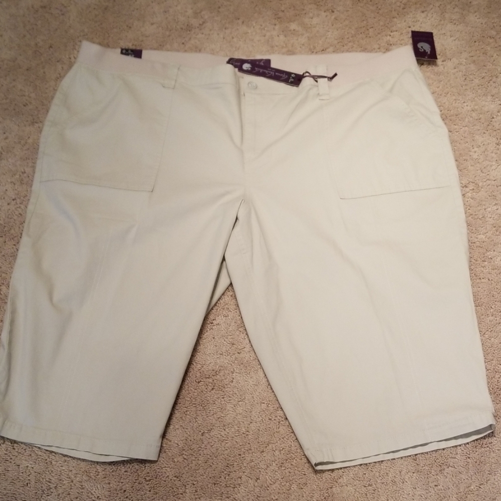 + (Plus) NWT capris - 24W - Picture 2 of 6